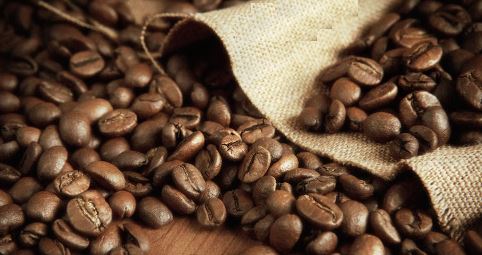 Giá cà phê tăng mạnh. Tồn kho thấp, thị trường lo ngại nguồn cung thiếu hụt trong ngắn hạn