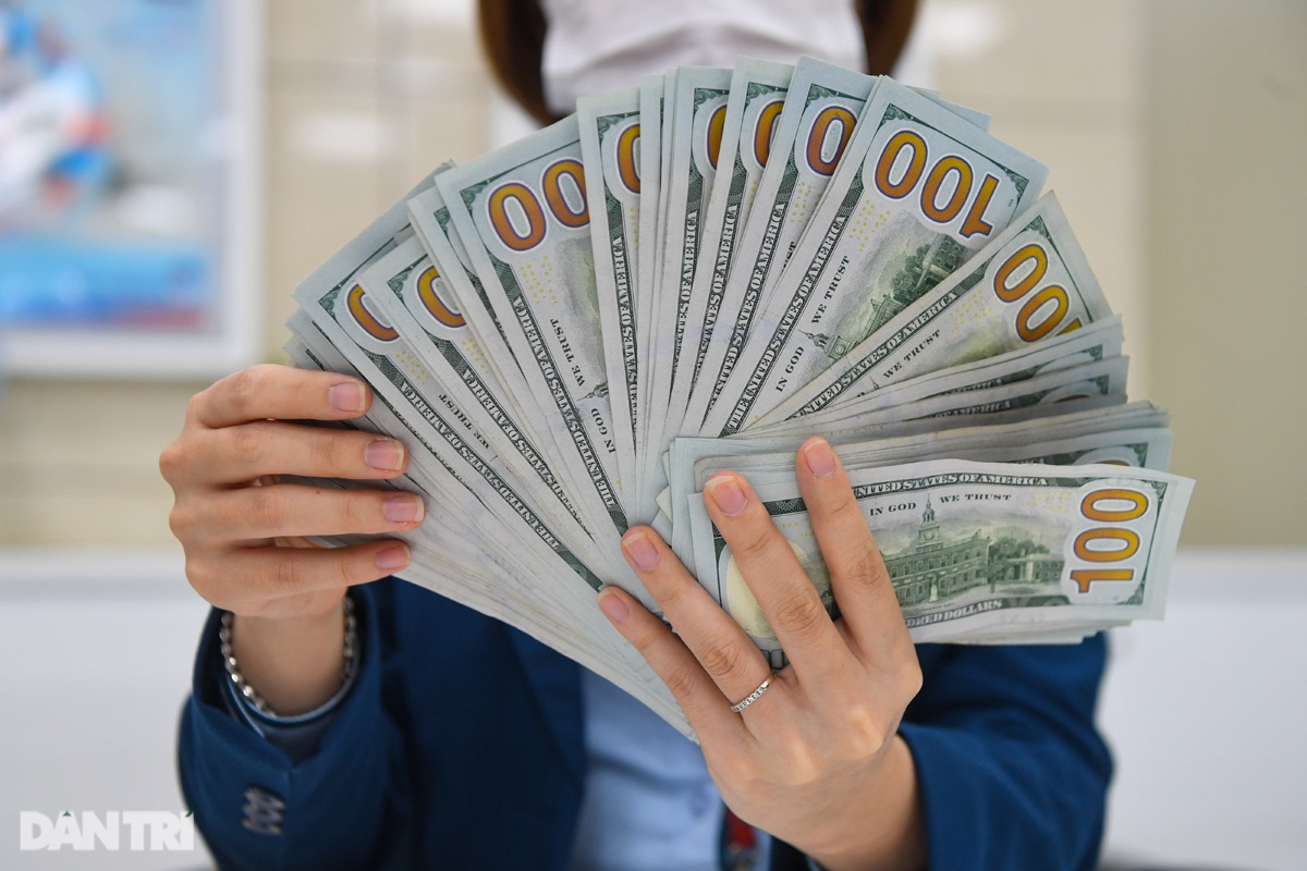 Một doanh nghiệp Việt nghi bị lừa, may vẫn đòi lại được hơn 13 tỷ đồng